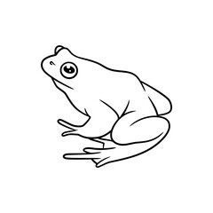 Frog line art drawing illustration