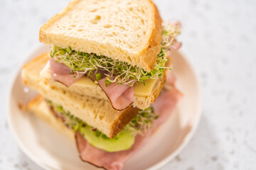 Ham, Cucumber, and Sprout Sandwich