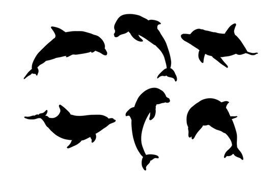 Set of silhouettes of dolphins vector design