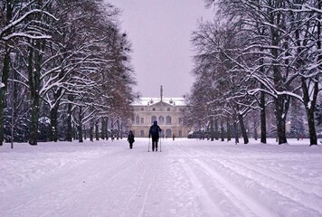 Winter im Großen Garten