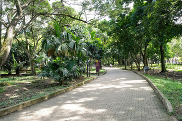 Jardin Botanico in Medellin Colombia
