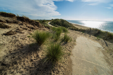 Fototapeta na wymiar Walking path through the dunes near Vlissingen