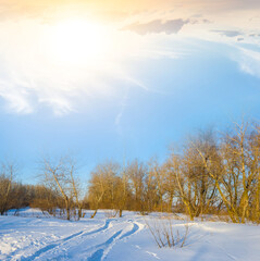 winter snowbound forest at the sunset