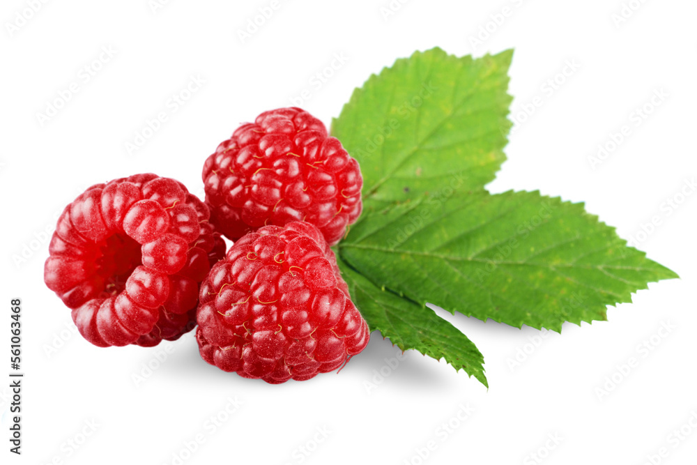 Sticker Ripe red raspberry with leaf