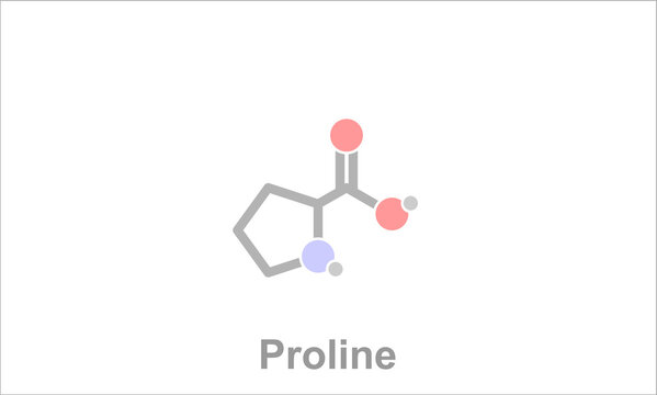 Simplified formula icon of the amino acid proline.