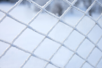 Fototapeta premium Mesh netting in needle-like frost crystals. Winter. Frost.