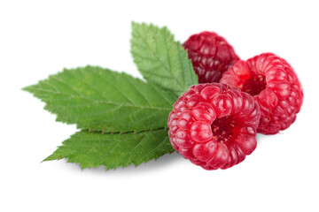 Ripe red raspberry with leaf
