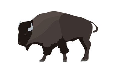 Plains bison illustration isolated on white background. Bison in flat style, side view. vector illustration