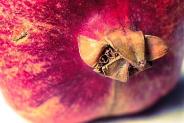 closeup of a pomegranate isolated, fragment of fruit