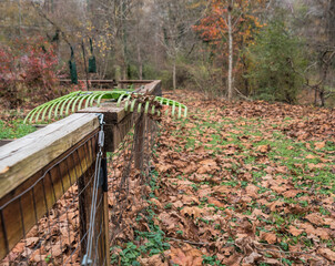 Community rake on a fence at a neighborhood community garden on a late fall day with fallen leaves on the ground; Grove Park Community Garden, Atlanta, Georgia