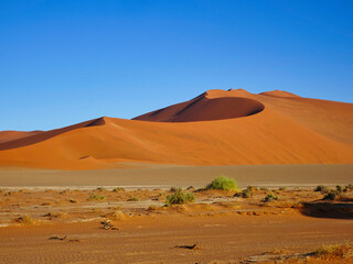 Obraz na płótnie Canvas Sossusvlei in der Namib Wüste in Namibia
