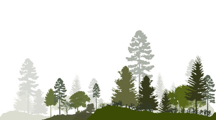 Forest silhouette trees. Vector illustration of every tree isolated. Evergreen forest side view green shadow, for seamless border, architecture and landscape design drawing. 