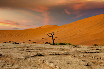 Plakat Sossusvlei in der Namib Wüste in Namibia