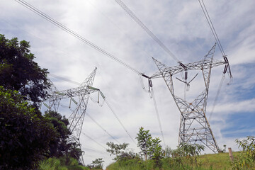 Electricity transmission tower crossing plantation