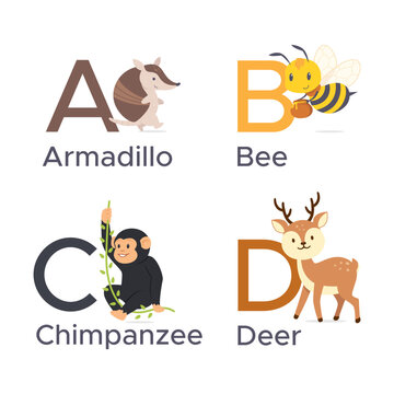 Educational preschool learning card with vector illustration of cute animal and letter cartoon set, Alphabet ABC cards for kids