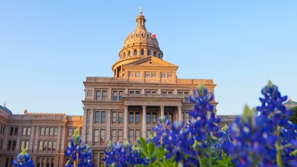 Bluebonnets at the Texas State Capitol in Austin