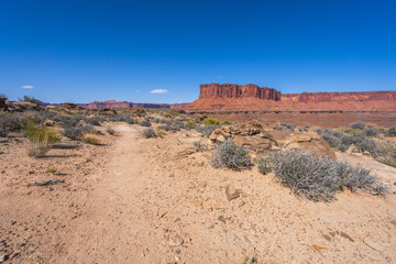 hiking the murphy trail loop in the island in the sky in canyonlands national park, usa
