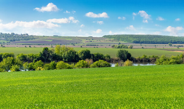 Weideland In Ungarn