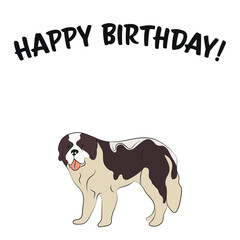Happy birthday card with the dog, holiday design. Present for a dog lover. Funny cartoon dog breed illustration.  Minimalistic greeting card. Fun St Bernard dog in hat character postcard.