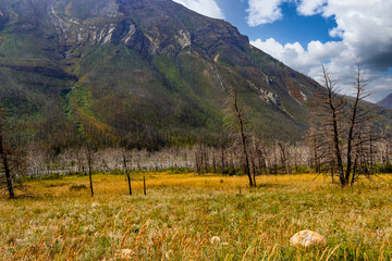 Mount Crandell Waterton Lakes National Park Alberta Canada