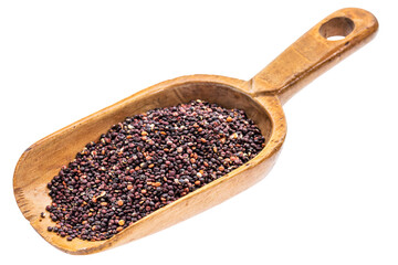 gluten free black quinoa grain on a rustic wooden scoop, isolated on transparent background