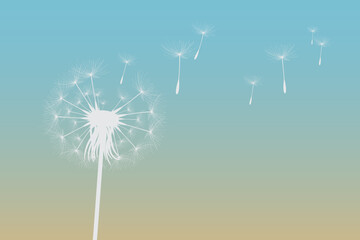 Vector illustration of dandelion time. White Beautiful Dandelion seeds blowing in the wind. The wind inflates a dandelion isolated in editable background.