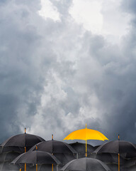  Yellow umbrella in rain