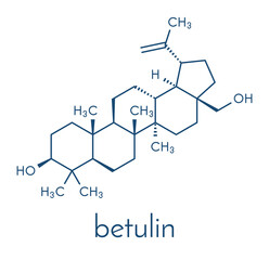 Betulin drug molecule. Isolated from birch tree bark. Skeletal formula.