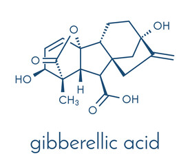 Gibberellic acid (gibberellin A3, GA3) plant hormone molecule. Skeletal formula.