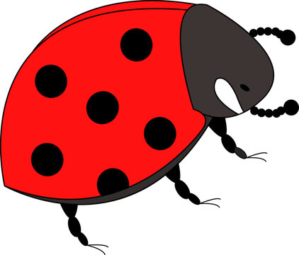 red ladybug with black spots clip art preview