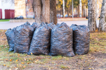 Bags of leaves and trash. Garbage collection