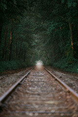 railroad in the forest