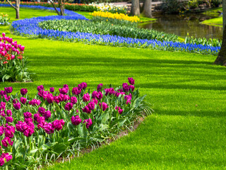 Landscape in Keukenhof garden, Holland