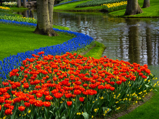 Landscape in Keukenhof garden, Holland