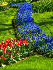Landscape in Keukenhof garden, Holland