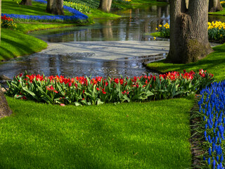 Landscape in Keukenhof garden, Holland