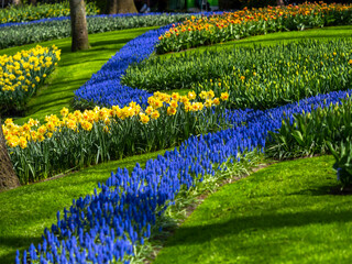 Landscape in Keukenhof garden, Holland