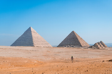 Fototapeta na wymiar Pyramids with a camel walking in the desert of El Cairo, Egypt