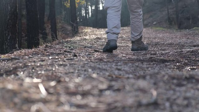 4k v&iacute;deo. Slow motion de persona caminando sobre las hojas de oto&ntilde;o en el bosque