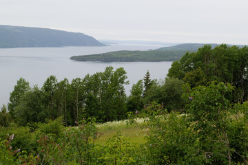Fototapeta na wymiar Der Mjøsa See bei Hamar im Frühling. Im Vordergrund Baumbestand und eine blühende Wildblumenwiese. Der Mjøsa ist der größte See Norwegens. Auf dem Pilgerweg St. Olavsweg von Oslo nach Trondheim.