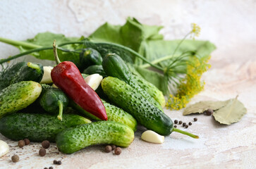 preparation for the winter. cucumbers pepper spices for pickling