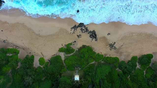 Aerial Top Shot Of Green Plants With Sand At Beach, Drone Moving Forward Over Blue Sea - Oahu, Hawaii