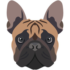 The face of a french bulldog. Vector portrait of a dog head isolated on white background.