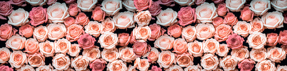 pink and white roses horizontal background, festive generative ai backdrop