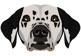 Dalmatian face. Vector portrait of a dog head isolated on white background.