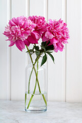 three pink peonies in a glass vase on the table. garden flowers.