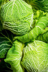 Fototapeta premium Fresh green cabbage.