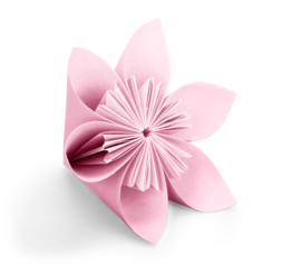 Colorful art flower exotic origami