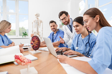 Doctor and interns using laptop in university