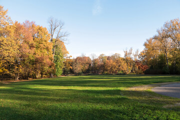 Picturesque view of park with beautiful trees and green grass on sunny day. Autumn season